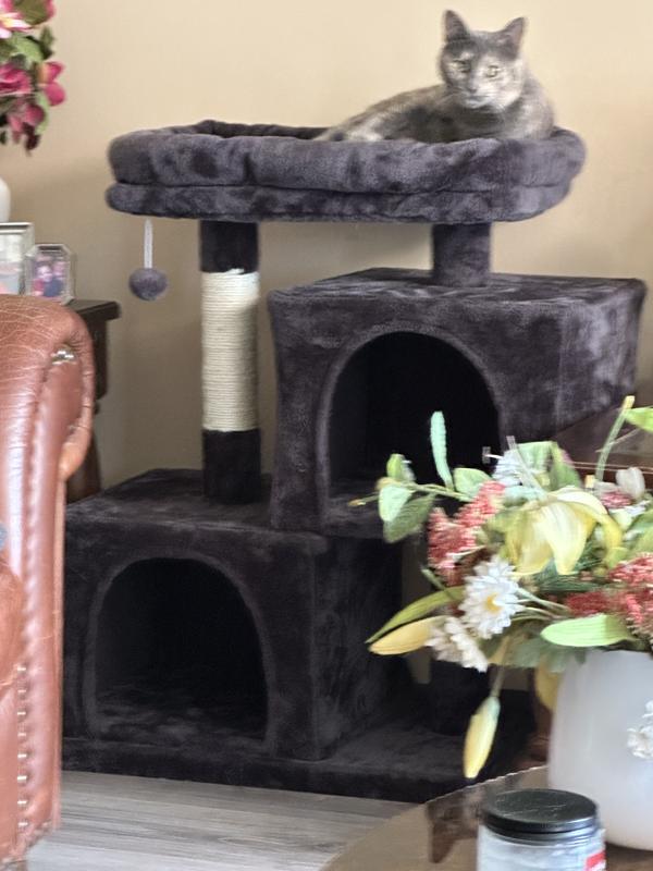 Just hanging out with my mommy!  She just built this for my 9th Birthday!  It’s only one of my presents…but I just LOVE THIS ONE SOOOO MUCH!