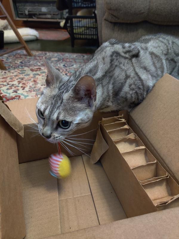 I’m just going to stash my mouse in this box