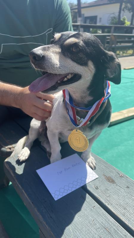 First place in fashion