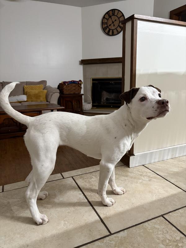 Picture of her build for reference