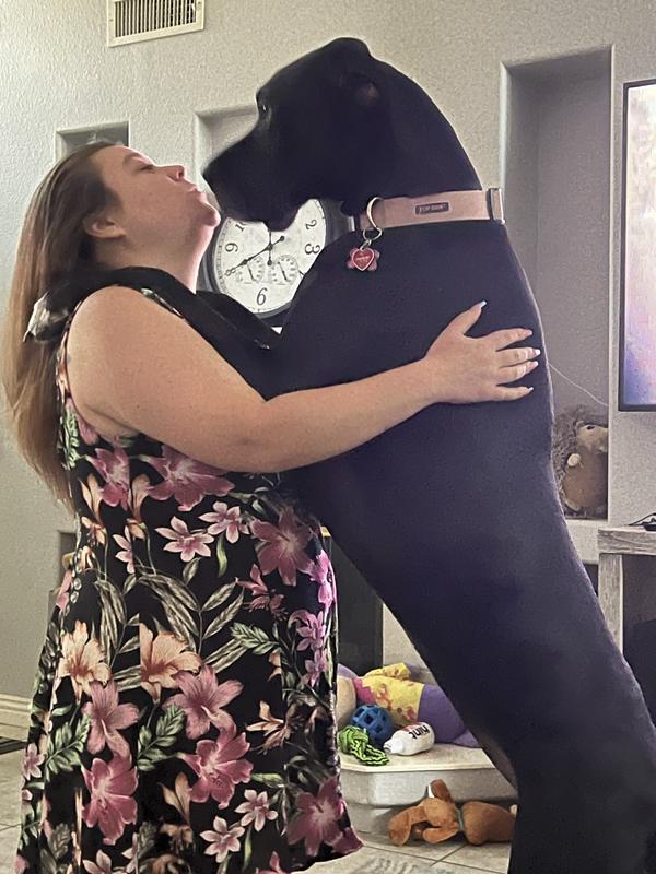 Allison the Dane, loves her big sister…