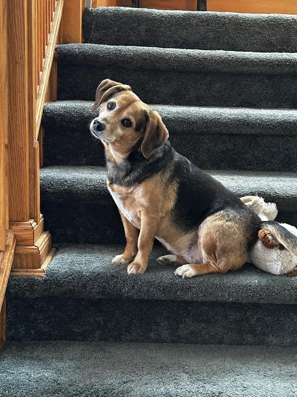 Perched to see the front gate.