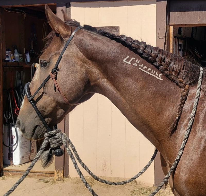 smooth, beautiful braids thanks to the moisturizing