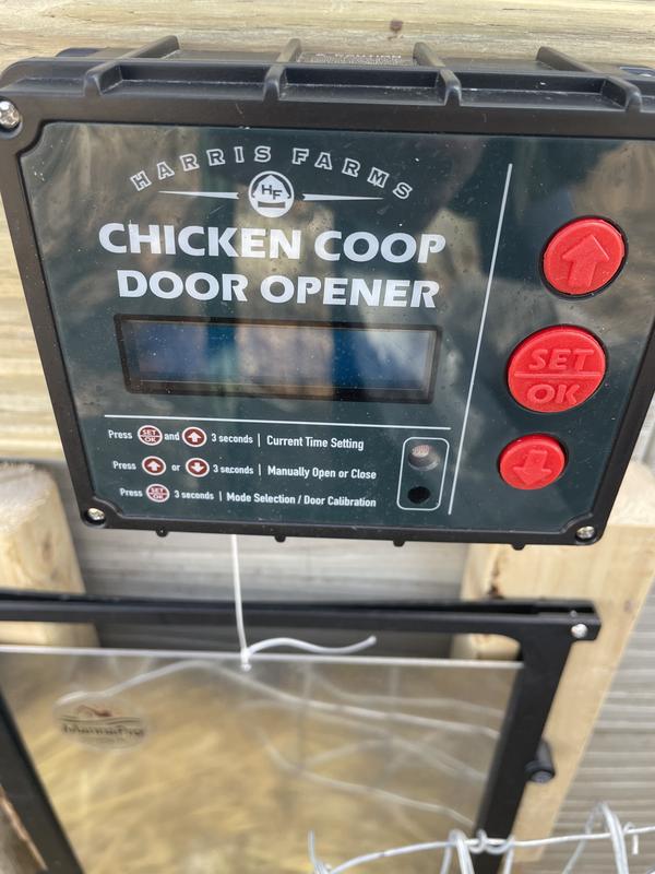 opening is big enough for chickens but smaller than other auto doors