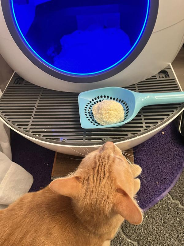 SUSTAINABLY YOURS MultiCat Plus Natural Cat Litter, 10lb bag