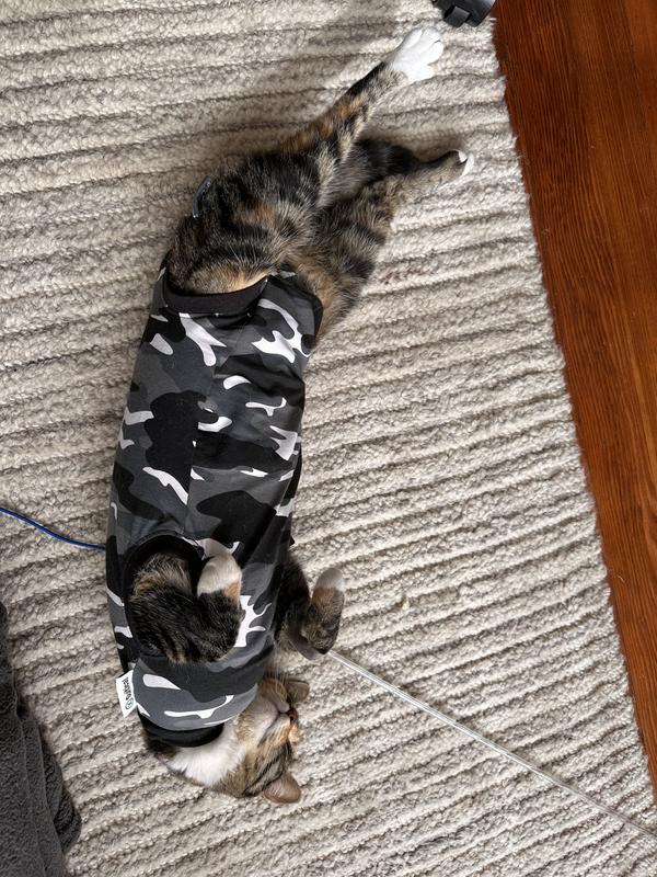 Suitical Recovery Suit for Cats