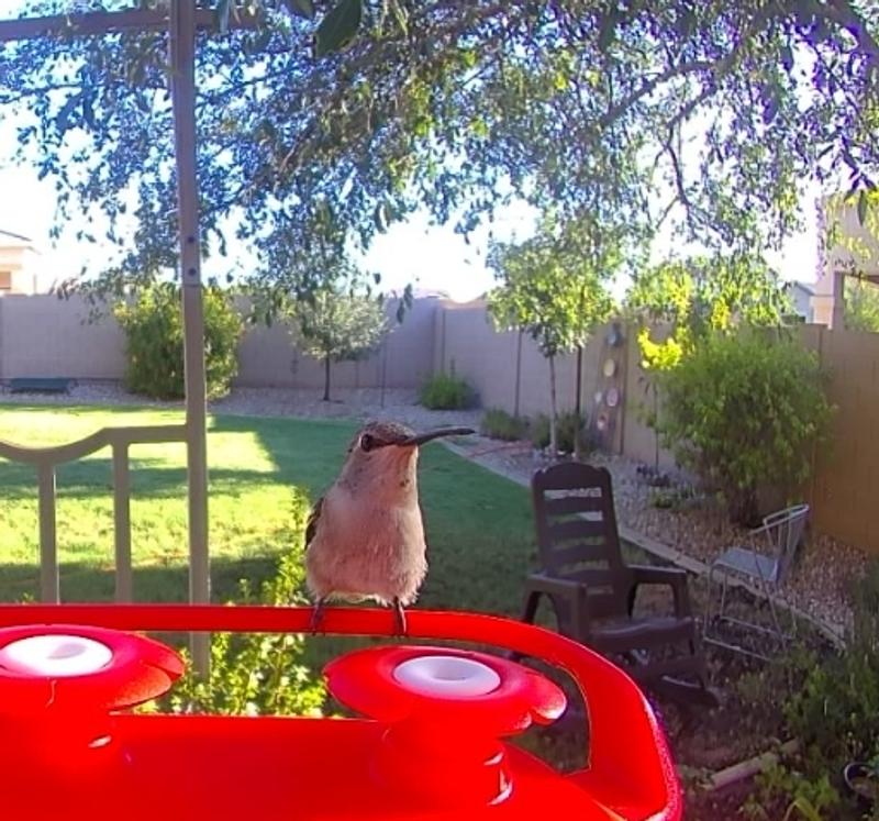 This is a screen capture from the app.