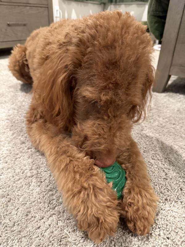 He’s obsessed with the ridges