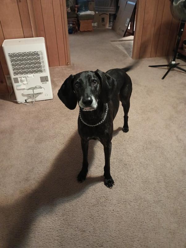 Why can't I have more?