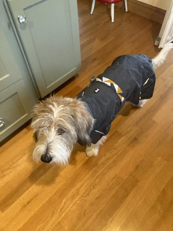 “Do I really need to wear this?!”