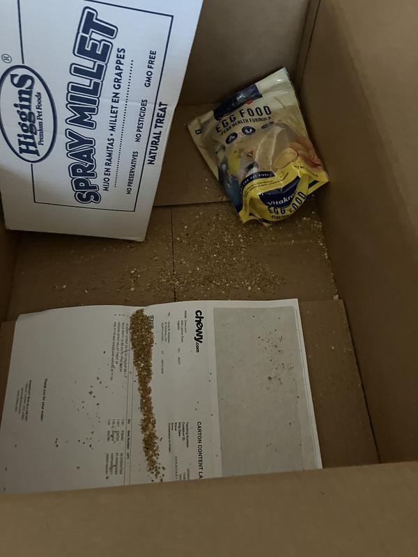 Broken thinks big MESS