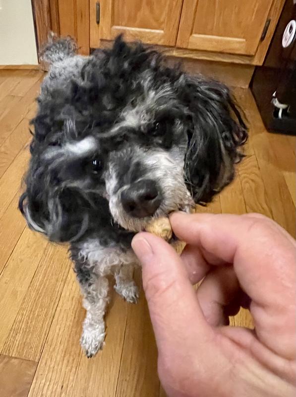 Dig #2 likes them fed as treats…one at a time.