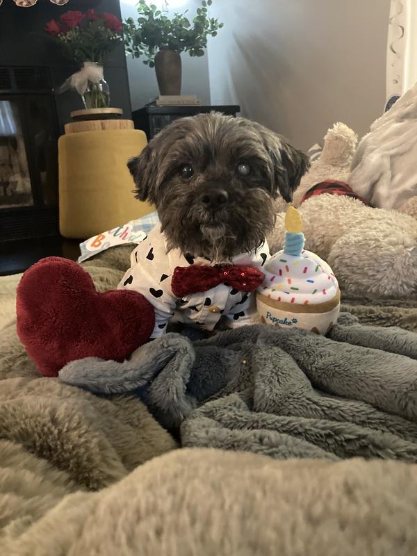 Winston’s 17th Birthday :-)