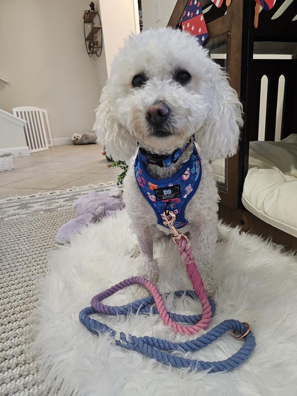 Fabulously Fashionable