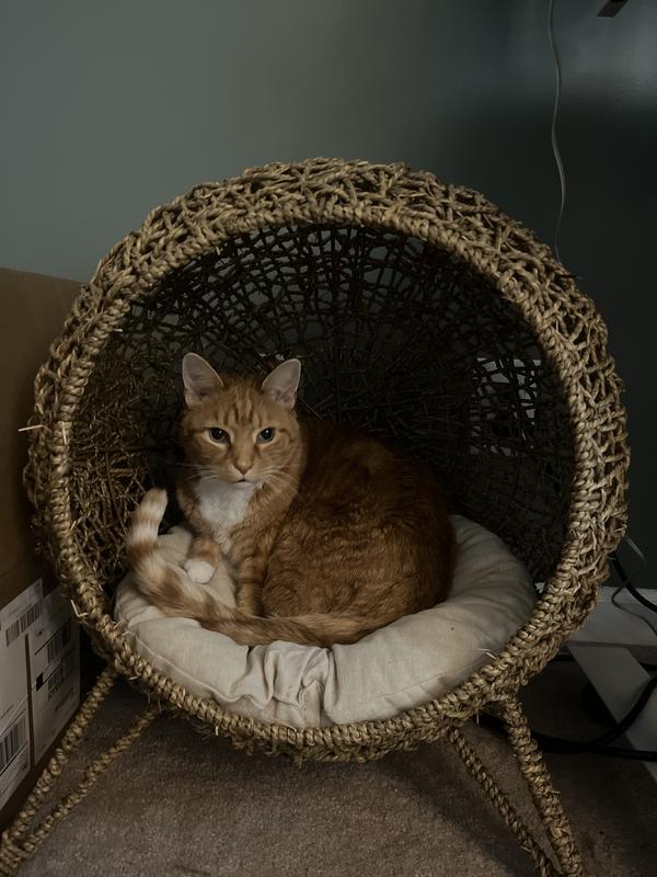 ZEZE Knipsa Bird Nest Cat Stand Chair, Natural