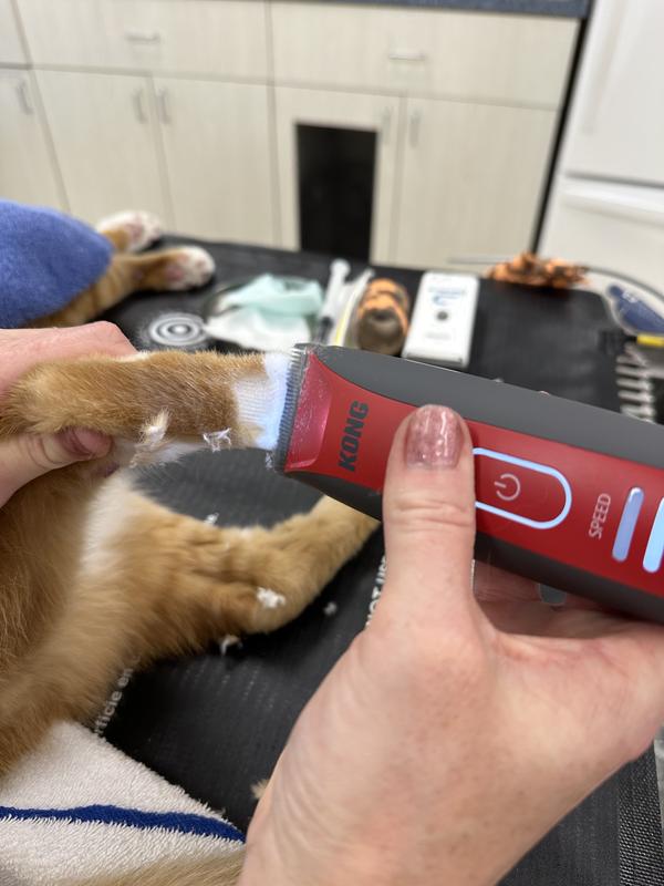 Love the light feature!