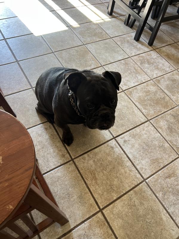 Look I am sitting, I would like another please!