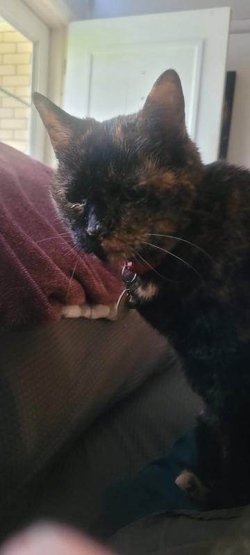 Happy healthy senior baby!
