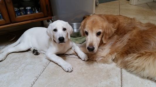 Two of the Three