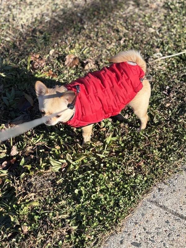 Luke loves his new coat@
