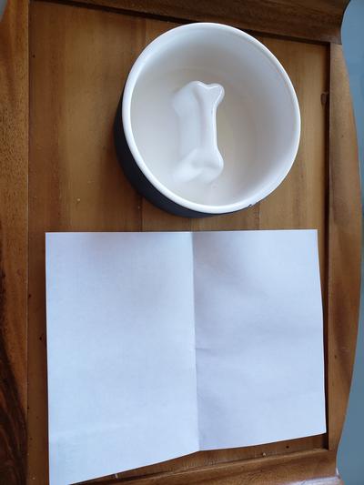 Bowl with standard sheet of paper