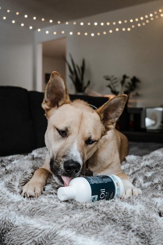 FERA PET ORGANICS Fish Oil + Vitamin E Dog Supplement, 8oz bottle