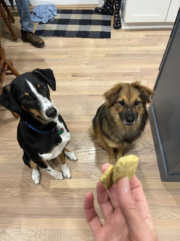 Waiting like good boys