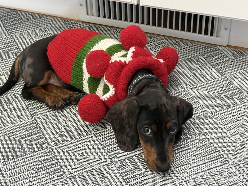 Santa’s littlest elf