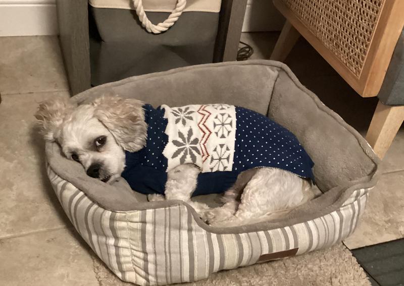 Doesn’t he look handsome in this sweater?
