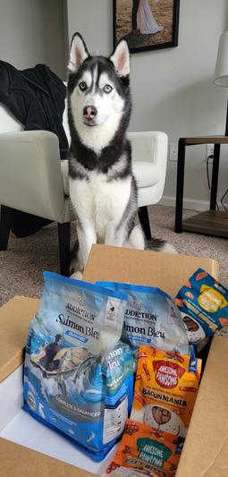 Koda and his goodies