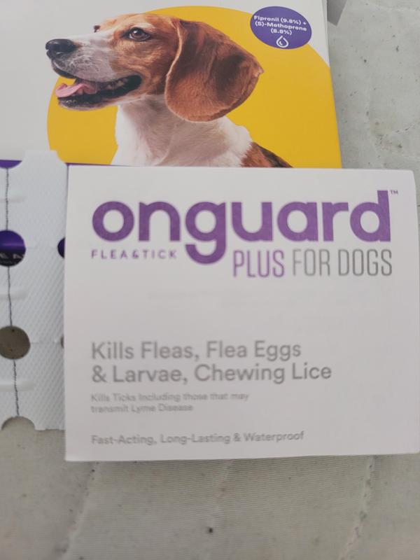 Onguard flea hotsell and tick treatment