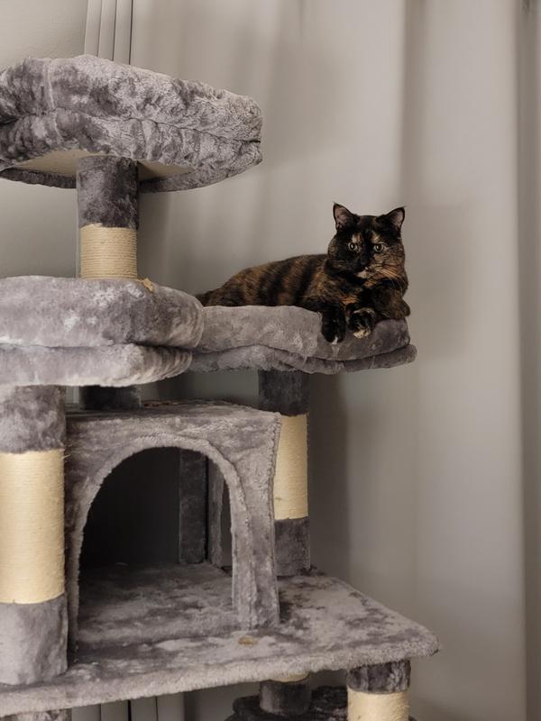 Queen of my domain!