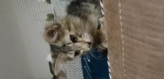 Both eyes are happy!