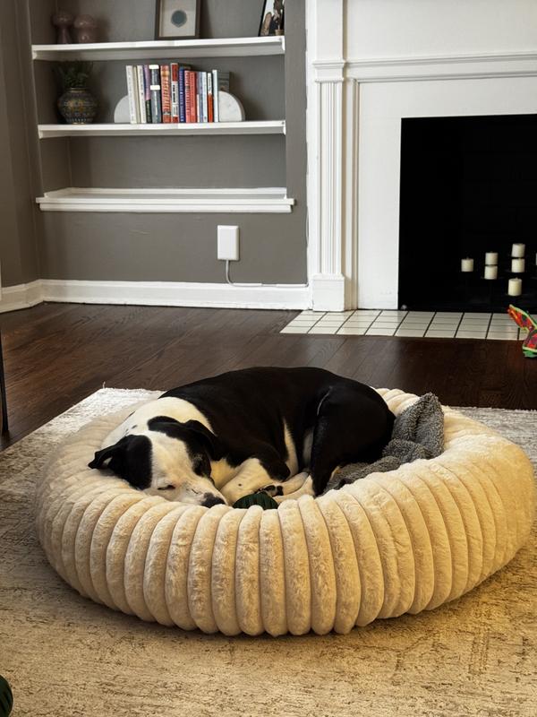 Cute, soft, firm & cozy