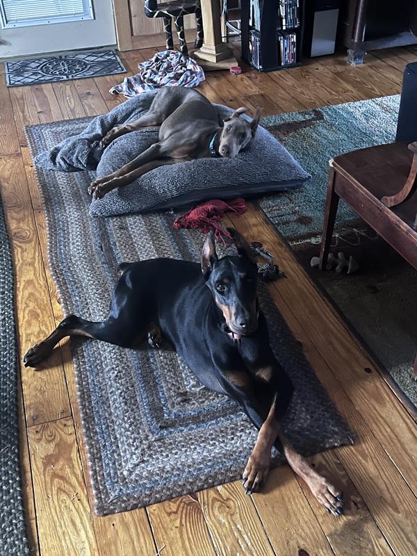 Relaxing after a good meal