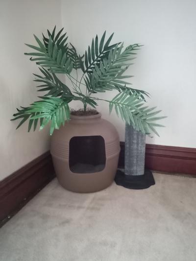 Good pet stuff clearance hidden cat litter planter