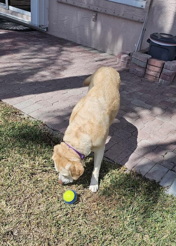 dropping new ball