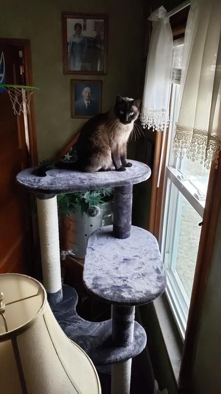 FRISCO 59.5-in Heavy Duty Faux Fur Cat Tree & Condo, Gray - Chewy.com