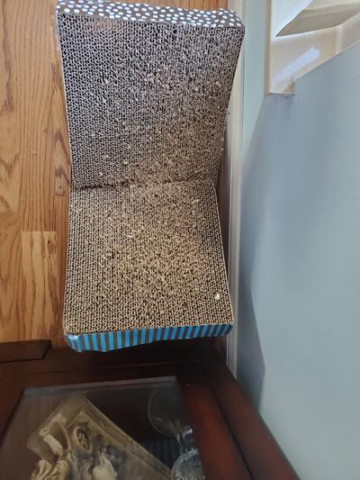 This is a cheaper one that we've had for several months