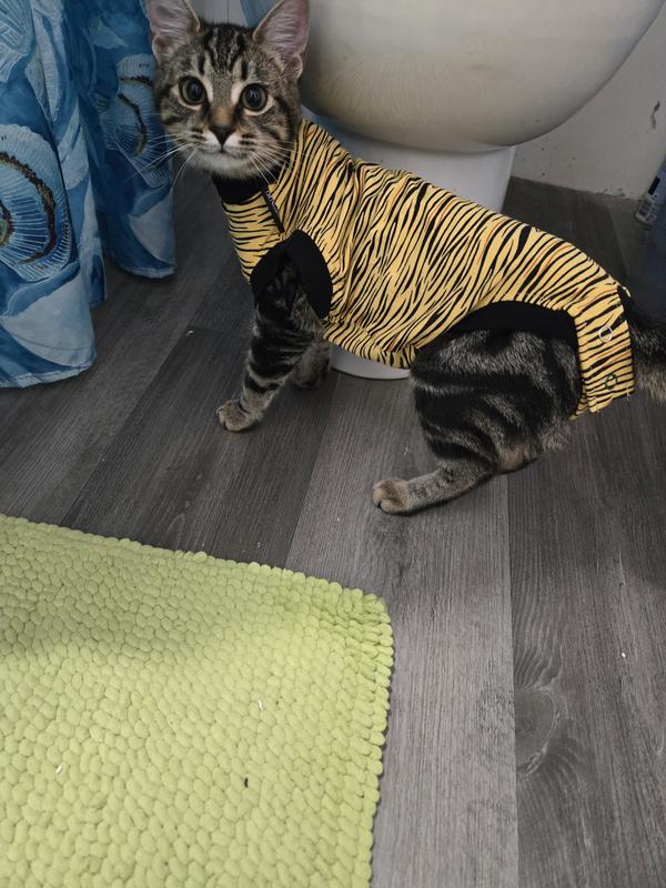 Lucy in her Tiger Suit