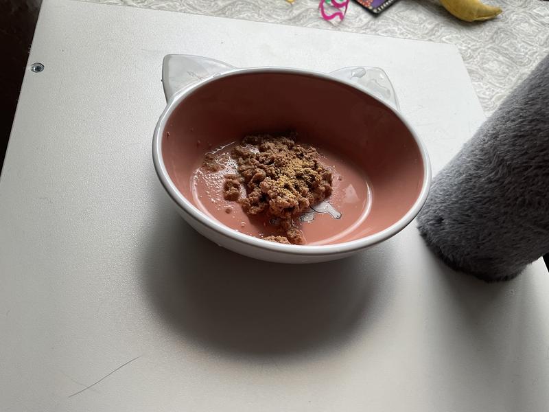 VET I.Q ontop of her food