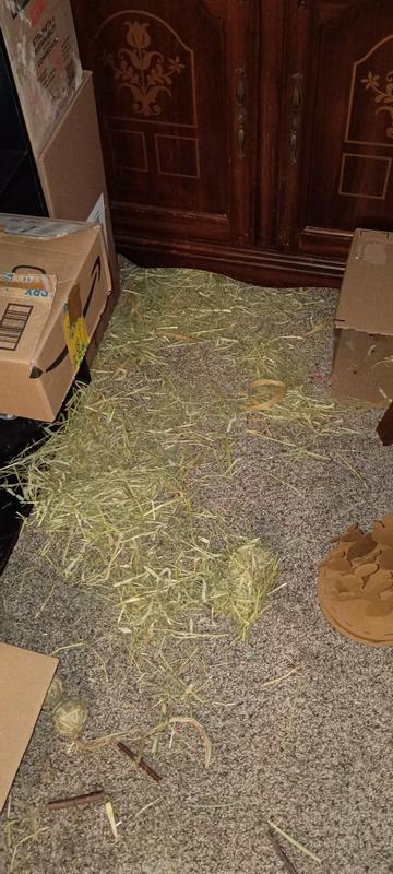 This is what the hail bales looked like after playing in it