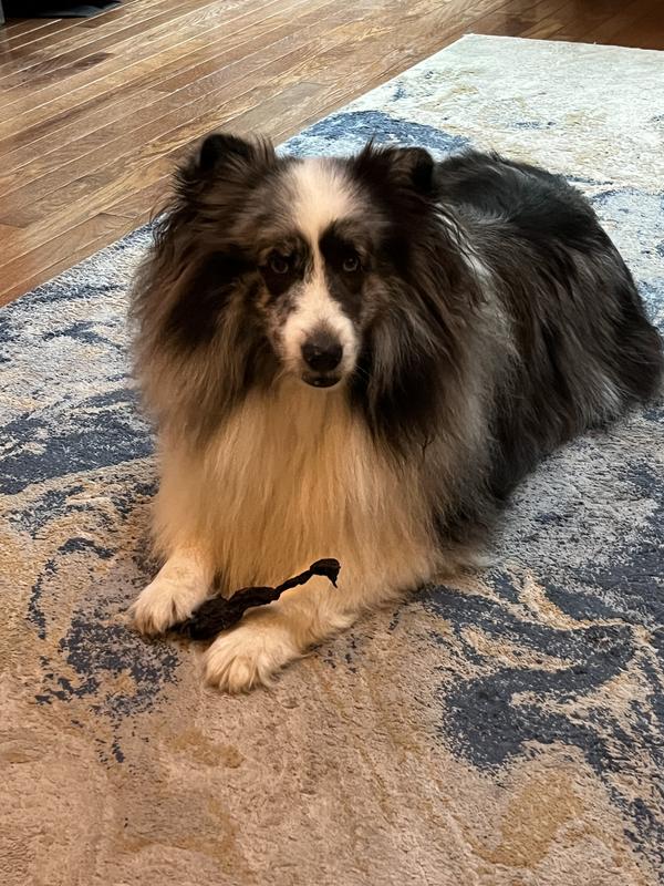 Always chew the knot off first!