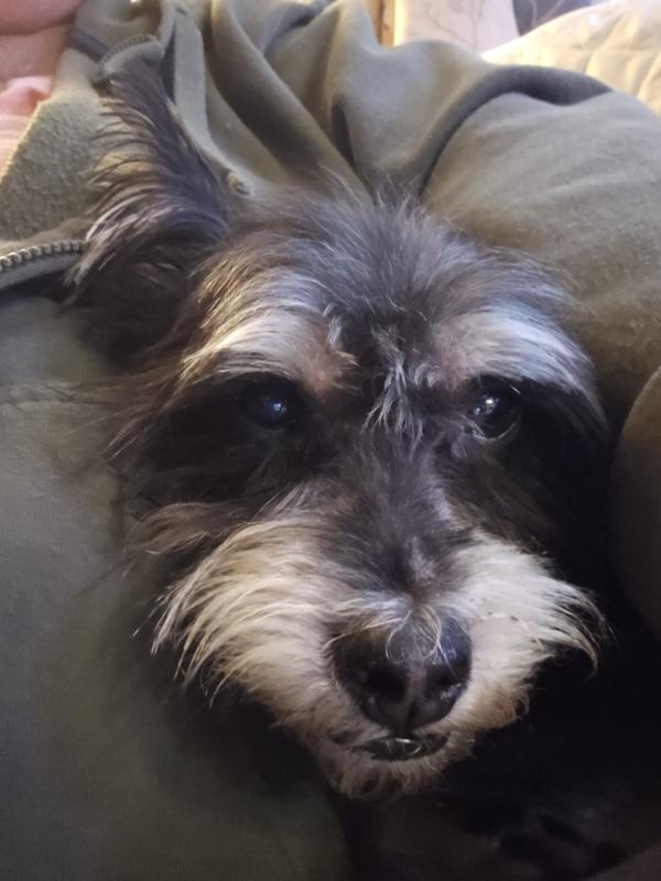 Ramon Benito a.k.a. Stumbles