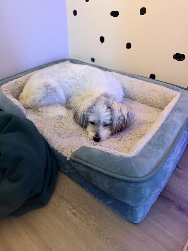 FurHaven Velvet Waves Perfect Comfort Orthopedic Sofa Cat & Dog Bed