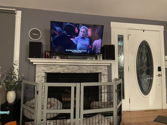 Gate around fireplace