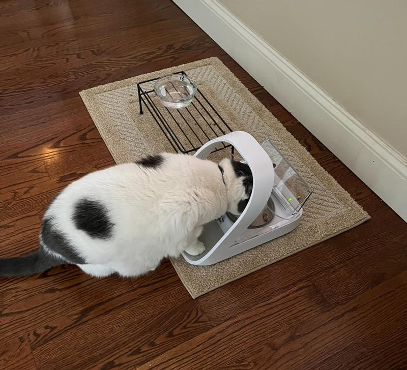 SureFeed Microchip Pet Feeder