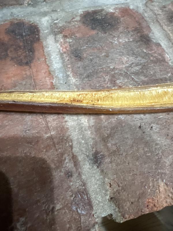 Sawed in half bully stick