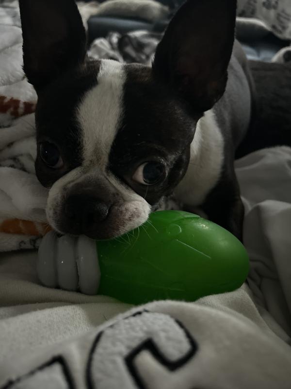 Franky and her lightbulb