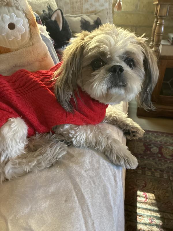 Frisco Plaid Cable Knit Dog & Cat Sweater